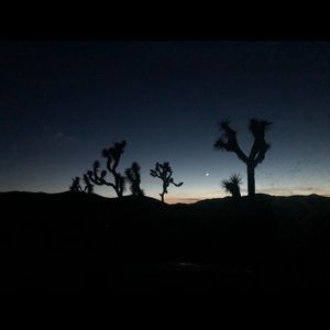 Meet your Posher, Sun